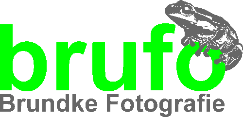 brufo - Brundke Fotografie