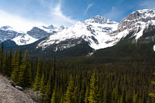 Waldweite im Jasper National Park