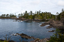 Küste im Pacific Rim National Park 02