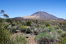 Pico del Teide