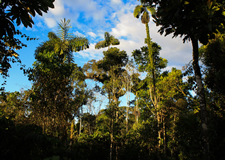 Ecuador